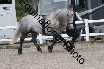 WNT-1682