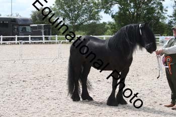 WNT-1720