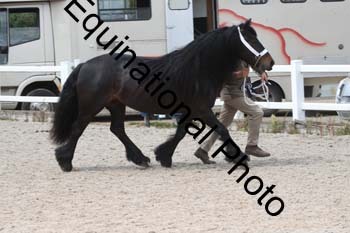 WNT-1736