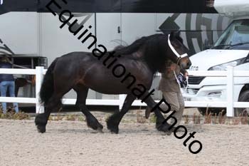 WNT-1740