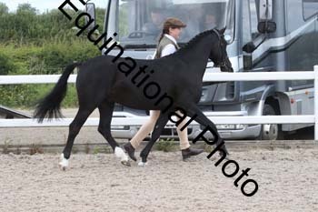 WNT-1822