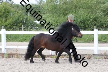 WNT-2194