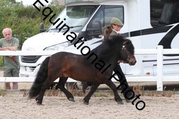 WNT-2195