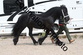 WNT-2246