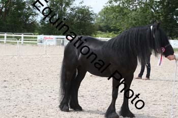 WNT-2251