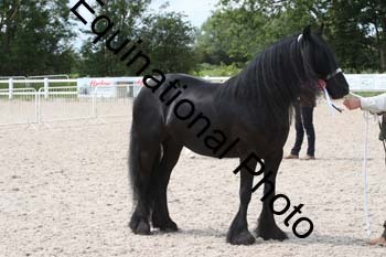 WNT-2255