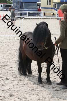 WNT-2294