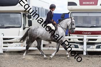 BEA-1499