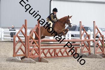 BEA-2011