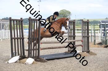 BEA-2014