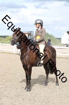 BEA-2054