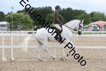 BEA-2081