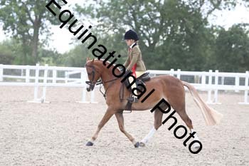 BEA-2100