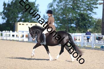 FDP-1003