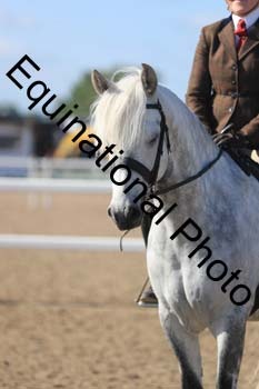 FDP-1041