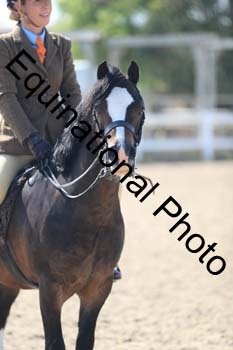 FDP-1201