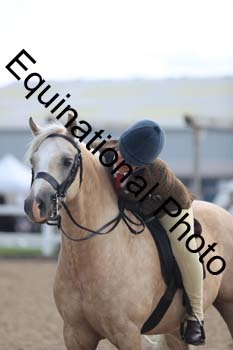 FDP-1428