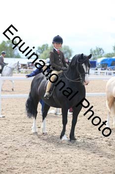 FDP-2003