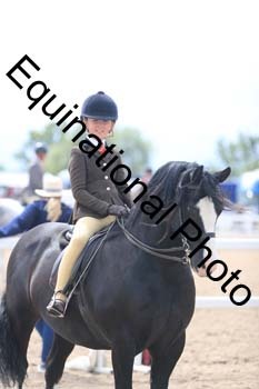FDP-2004