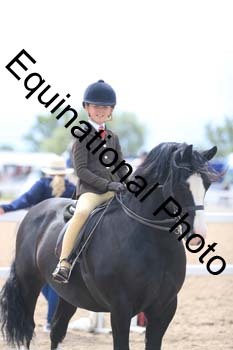 FDP-2005