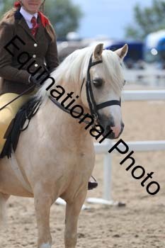 FDP-2013