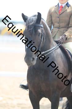 FDP-2023