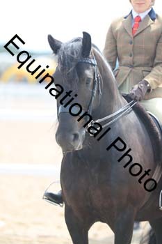 FDP-2024