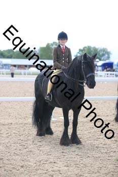 FDP-2037