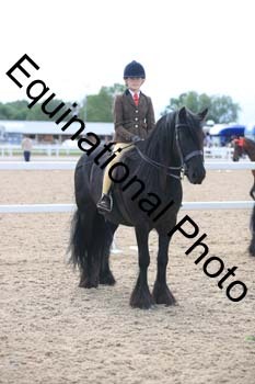 FDP-2038