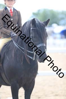 FDP-2041