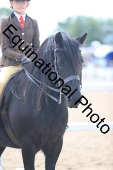 FDP-2042