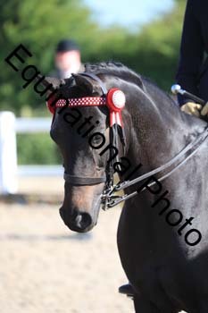 JAD-1137