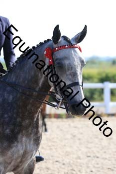 JAD-1171