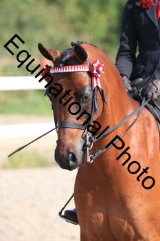 JAD-1201