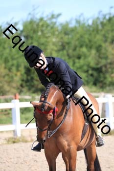 JAD-1216