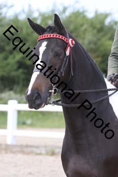 JAD-1739