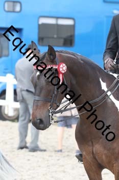 JAD-1758