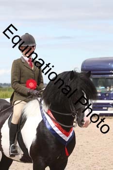 JAD-2335