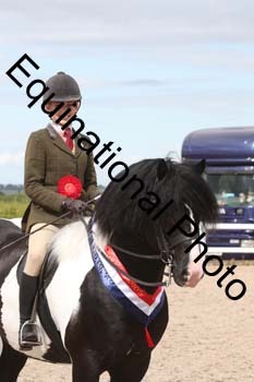 JAD-2336