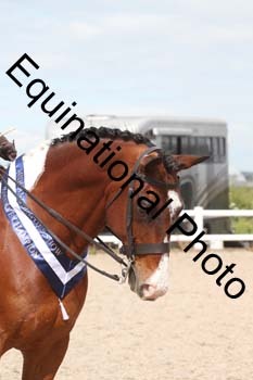 JAD-2342