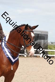 JAD-2346
