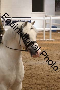 PEL-1690