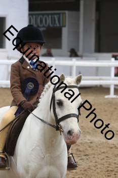 PEL-1696