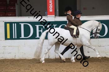 PEL-2008