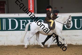 PEL-2011