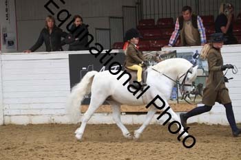PEL-2013