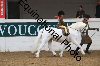 PEL-2018