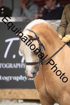 PEL-2269