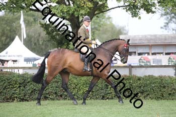 APM-1727