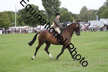 APM-1913